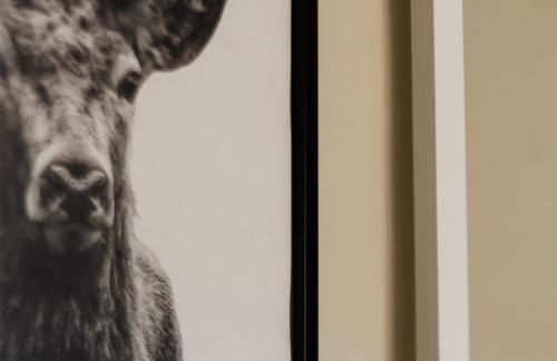 Mercat Sant Antoni 1 - Foto 32