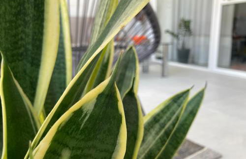 Talia open space di Sulemmari - Foto 17