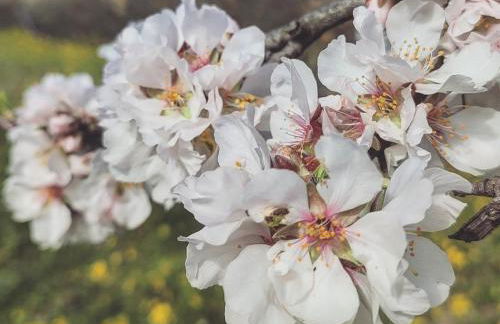 Dimora Virone Paradiso - Foto 20