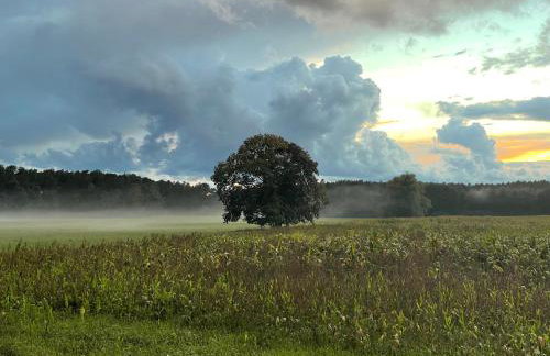 Urlaub auf dem Land - Foto 16