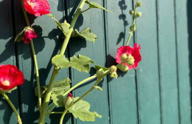 Altländer Obsthof - Photo 3