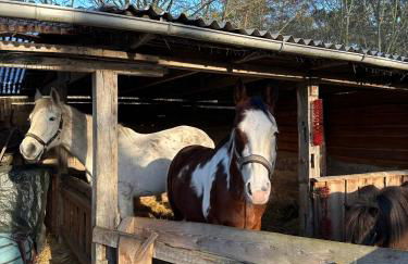 Pension Meeresblick - Foto 52