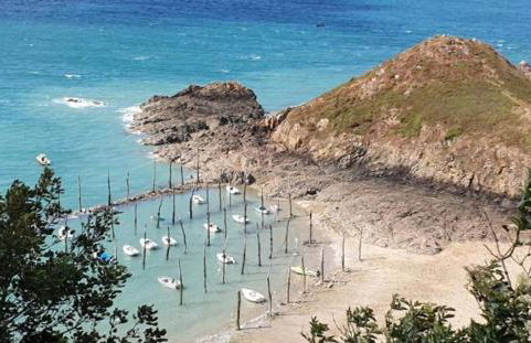 le petit gîte de mag - Foto 16