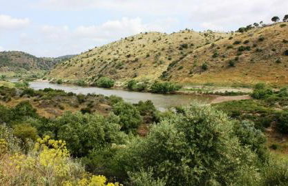 Casa do Funil - Foto 49