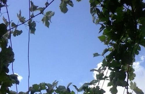 Casa da Muralha - Foto 80