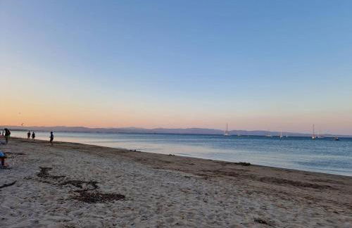 Les flamants roses de la Capte T2 - Foto 22