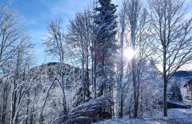 Gorska Idila "Smreka" - a Modern House in Quiet Area with Wellness - Foto 12