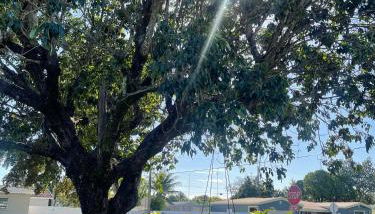 Comfort Apartment Miramar - Foto 2, Garden