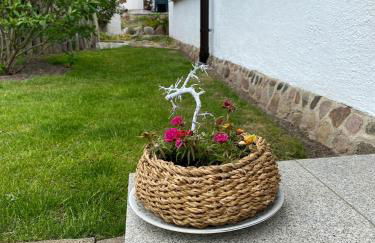 Urlaub "Unterm Storchennest" im Ostseeland Rerik - Foto 16