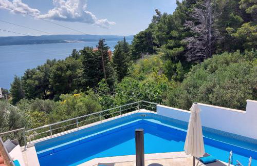 Apartman Traper with sea view and private pool - Foto 8