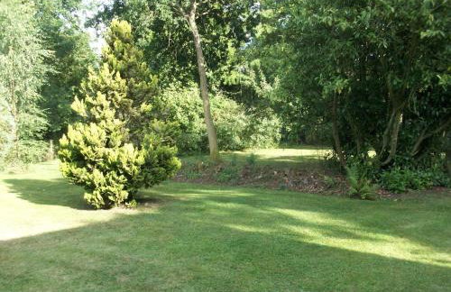 2 Bed in Dereham oc-shrn8 - Foto 17