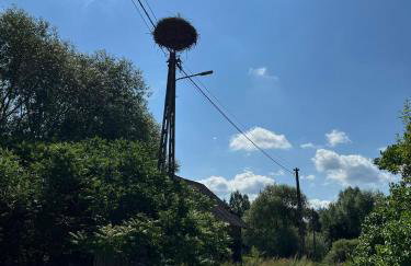 Lake House Borowe - Foto 66