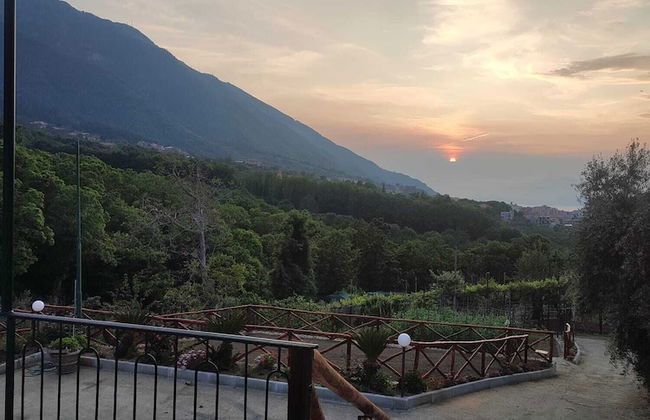 La masseria - Foto 13