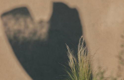 Inspiration House - Foto 49