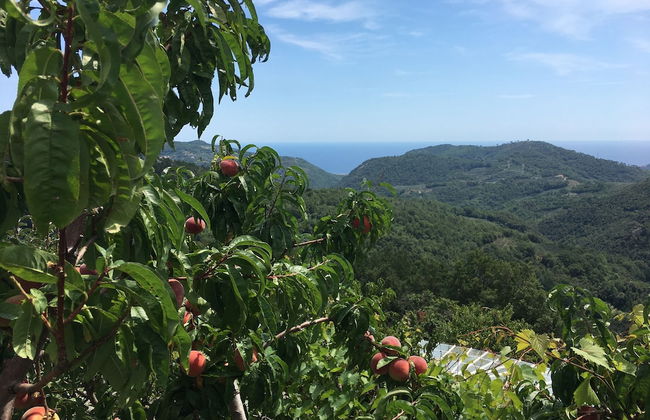 Agriturismo LaValleggia - Foto 35