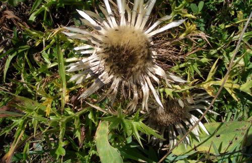 Ferienhaus Lang - Foto 39