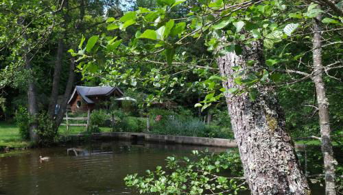 Charmant chalet aux portes d'Epinal - Foto 3, Garden