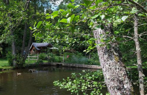 Charmant chalet aux portes d'Epinal - Foto 3