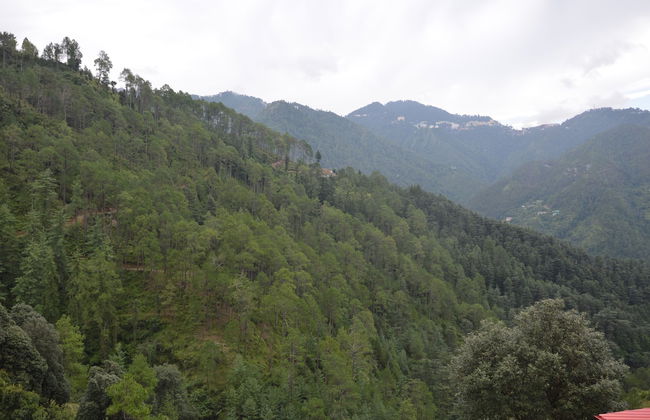 The Banoak Homestay - Foto 19