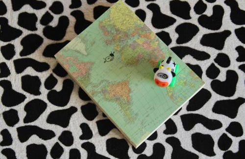 Azores Cow House - Photo 57