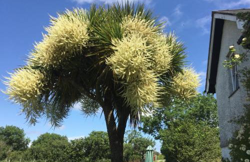 Perthi Uchaf - Foto 14