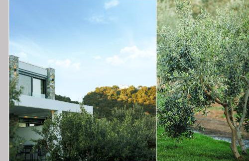 Casa Del Olivar - Foto 113