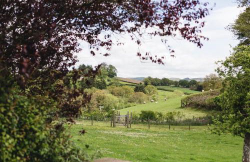 Pwllgwilym B & B - Foto 27