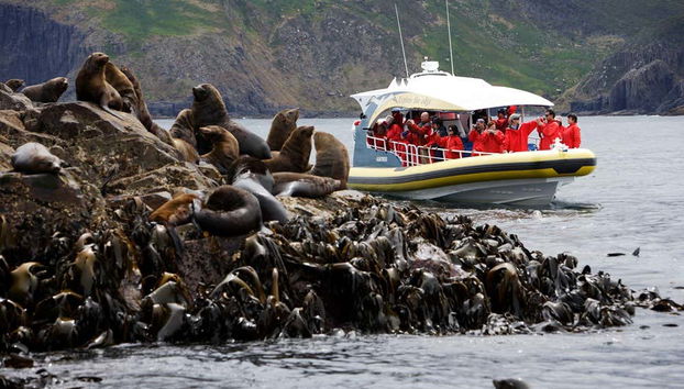 Navigando lungo la costa dell'isola Bruny