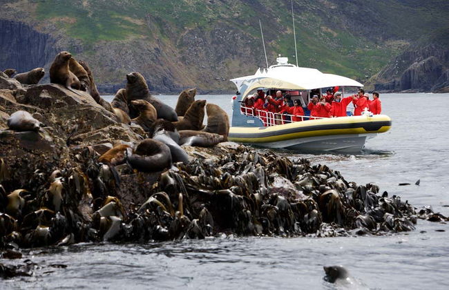 Excursion à Bruny Island avec balade en bateau - Photo 2