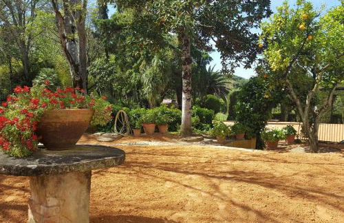 Quinta da Bizelga Cottages - Foto 10