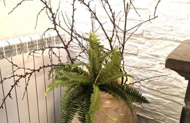 Gli Ulivi - Photo 17