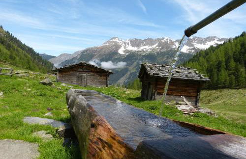 Halbwöhrerhof - Photo 42