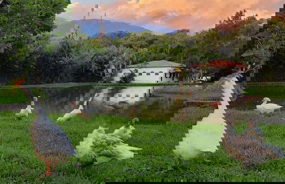 Hotel Fazenda Villa-Forte - Foto 73