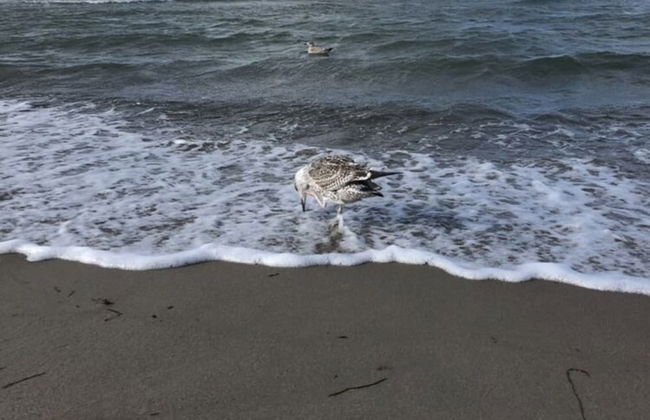 Bright Apartment in Boltenhagen near Sea - Photo 17