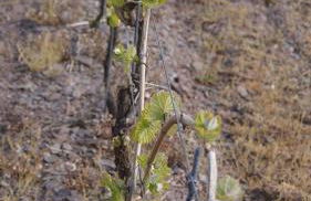 Ferienappartement Hennen - Foto 39