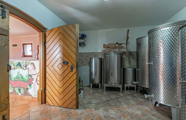 Vineyard Cottage Lustek - Foto 16