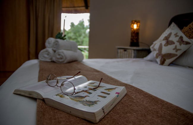 Khululeka Bushveld Guest Farm - Foto 4