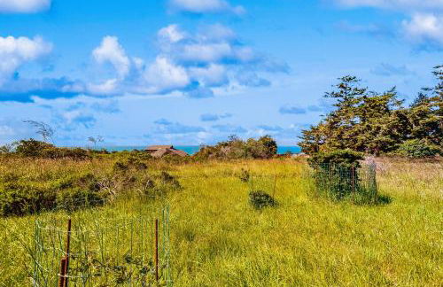 Wild Meadow - Foto 20