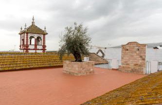 Casa Palacio de la Carrera Olehousing - Foto 42