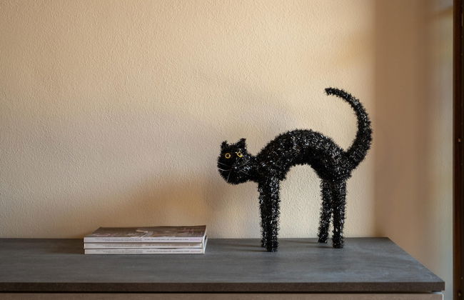 Casa del Gatto in Paratico - Foto 24