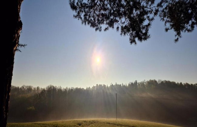 Modern Holiday Flat With Pool in the Harz - Foto 38