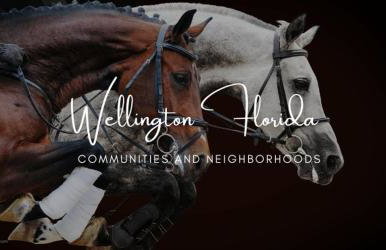 Kids and Family Playground - Foto 52