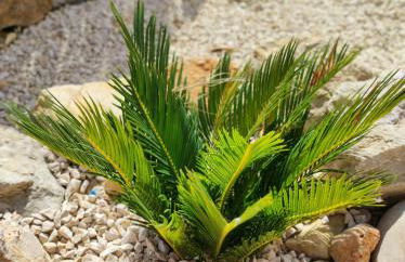 Privé vakantiewoning "Casa Stirio" met zwembad regio calpé-jalon - Foto 36