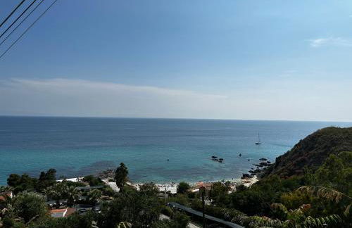 Dal Barone - Foto 25