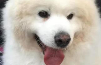 APARTAMENTOS LA COTERA - BARRIO DE ARRIBA segunda entrada 2 - Foto 52