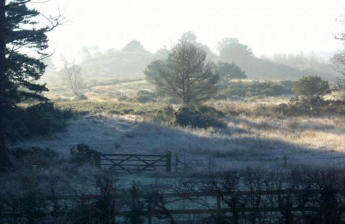 Cottage near Corfe & Jurassic Coast - Foto 61