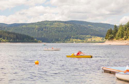 Haus Feldbergblick, Apartment "Valentine", Lenzkirch, Hochschwarzwaldkarte - Foto 16