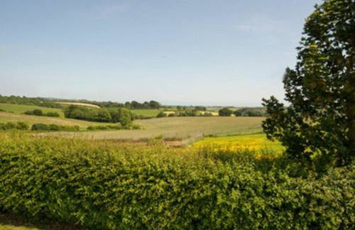 Blackthorn is a luxurious, rural retreat for two. - Foto 11