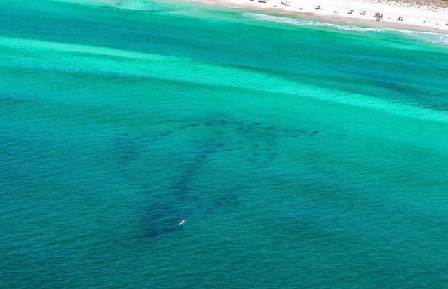 Caribbean Dunes 115 -the Perfect Place - Foto 25