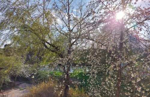 Landpartie - Foto 23